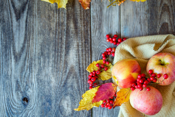 red yellow apples on a wooden texture with red Rowan