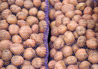 View of sacks with potatoes for sale