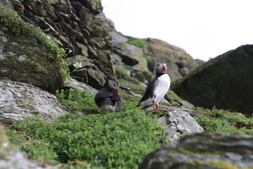 Ireland-juin-juillet-2017