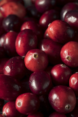 Raw Red Organic Cranberries