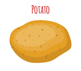 Potato set, vegetable. Organic food. Cartoon flat style. Vector illustration