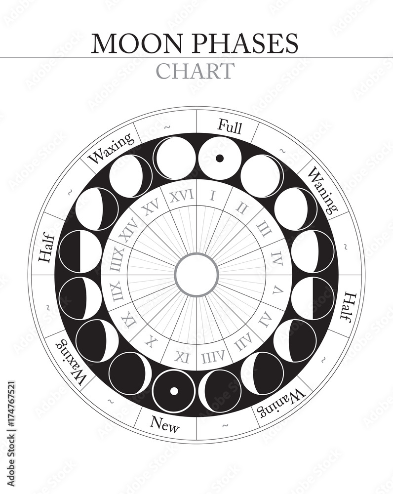 Canvas Prints moon phases flat vector background