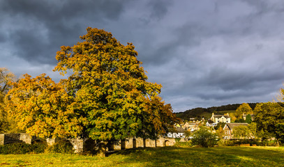 Tree displaying fall colors next to a bridge and small village