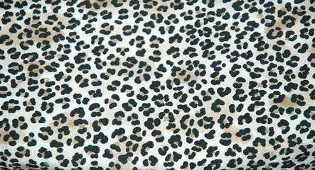 Endangered wildlife leopard skin rug displayed indoors.