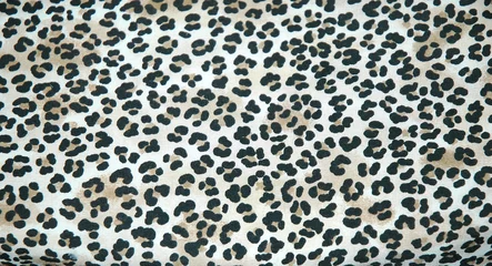 Wandcirkels tuinposter Endangered wildlife leopard skin rug displayed indoors. © oscar williams