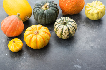 Assortment of pumpkins and gourds on the dark grey background, copy space for text, selective focus