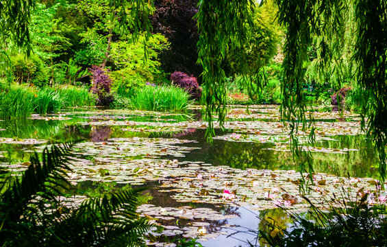 Lily pond at Monet's garden in Giverny France