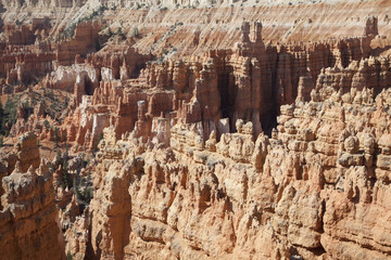 View of the magical golden hoodoos of Bryce Canyon National Park