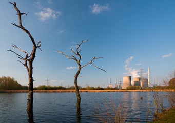 Dead Trees And Power Station - 174771547