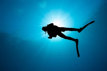 Foto auf Glas Silhouette of a SCUBA diver with sunburst behind © whitcomberd