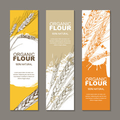 Set of vector backgrounds for label, package. Sketch hand drawn illustration of wheat ears. Concept for organic flour, harvest and agriculture, grain, cereal products, bakery, healthy food.