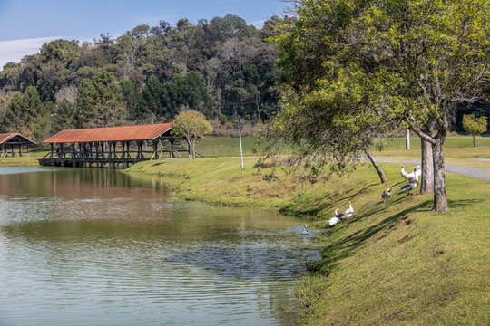 Tingui Park - Curitiba, Parana, Brazil