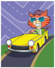 Cruising Cat / A cat hits the open road.