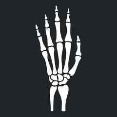 Skeleton hand with bones. Vector illustration.