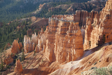 View of the magical golden hoodoos of Bryce Canyon National Park