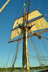 Obraz premium Working The Sails on Tall Ship Visiting Olympia Washington, USA, in Puget Sound