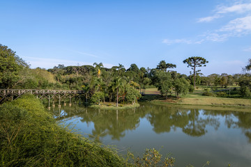 Fototapeta na wymiar Lake at Curitiba Botanical Garden - Curitiba, Parana, Brazil