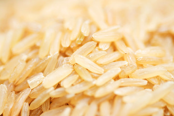 Detail of brown rice