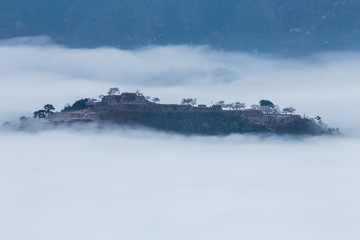 雲海に浮かぶ竹田城跡