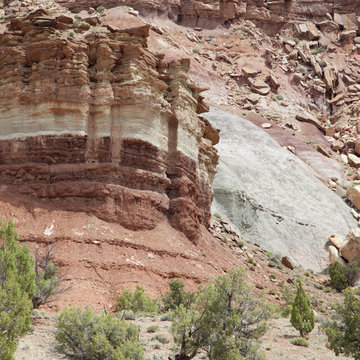 Red Slick Rock Canyons And Mesa Abound In The Beautiful Landscape Of Capitol Reef National Park In Utah