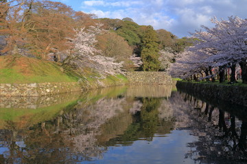 Fototapeta na wymiar 彦根城お堀の風景