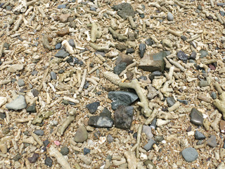 Strand aus Muschelsand und Steinen