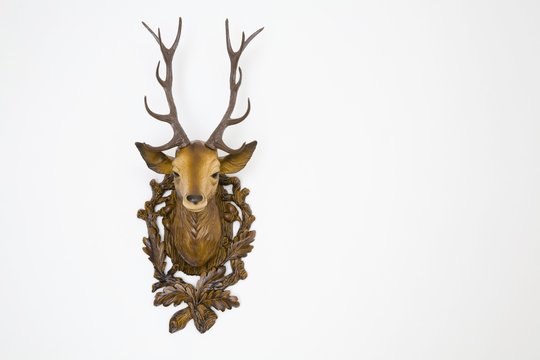 Plastic deer head, frontal view