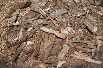 Pile of cut cedar tree bark for recycling, Quebec, Canada, North America