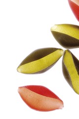 Pasta shells