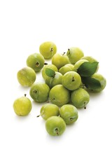 Greengages (Prunus italica) with small leaves