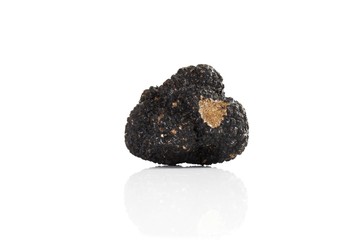 Black truffle