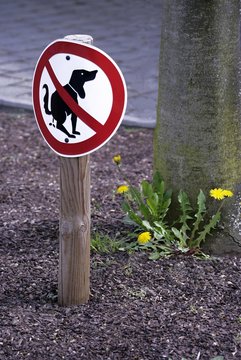 Sign, no dogs