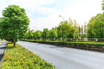 Country asphalt road through the green forest