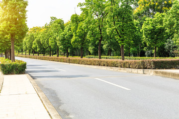 Country asphalt road through the green forest