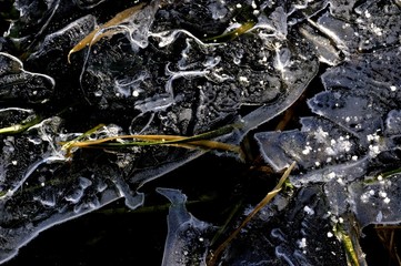Ice formation with frozen grass