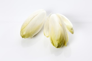 Chicory (Cichorium intybus var. foliosum)