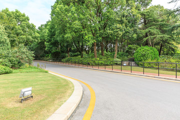 Country asphalt road through the green forest