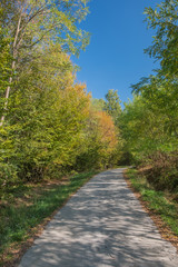 Country road going through the autumn forest with leaves starting to turn yellow