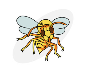 Cartoon hornet cartoon hand drawn image. Original colorful artwork, comic childish style drawing.