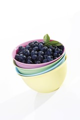 Blueberries in a bowl