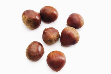 Sweet Chestnuts or Marrons (Castanea sativa)