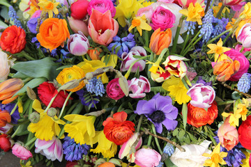 Spring flowers in bright colors
