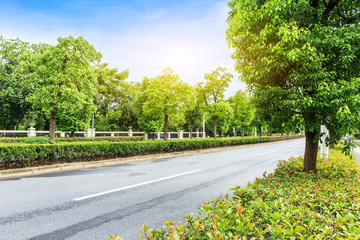 Country asphalt road through the green forest