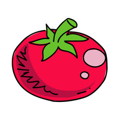 Tomato cartoon hand drawn image. Original colorful artwork, comic childish style drawing.