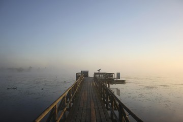 At the end of the Federsee pier, Federsee near Bad Buchau, Nature Reserve in Upper Swabia,...