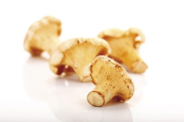 Small heap of chanterelle mushrooms