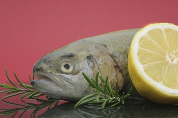 Trout with rosemary and lemon