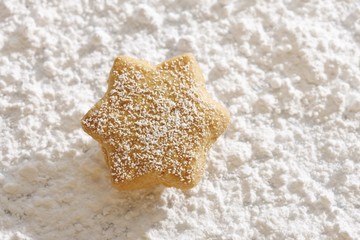 Fototapeta na wymiar Star-shaped shortcrust cookie on powdered sugar