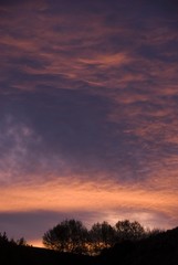 Fototapeta na wymiar Sunset over Wellington, New Zealand, Oceania