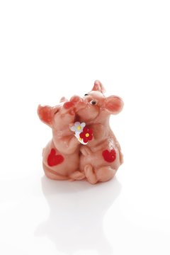 Marzipan pig lovers